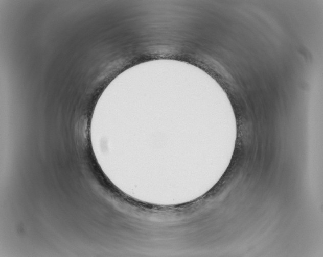 X0000111620024200908281122