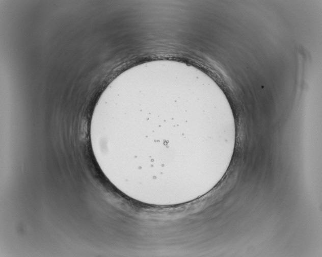 X0000111620025200908281122