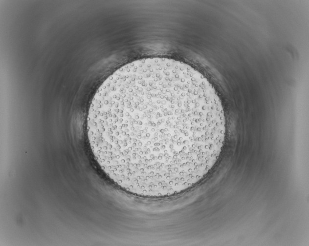 X0000111620026200908281122