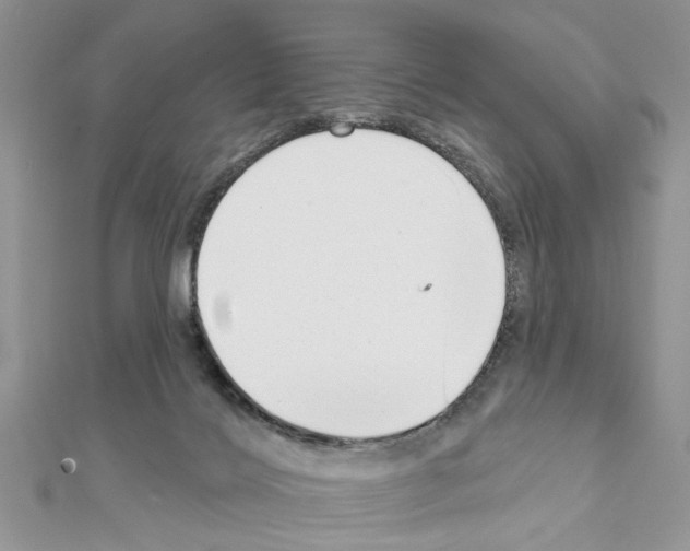 X0000111620028200908281122