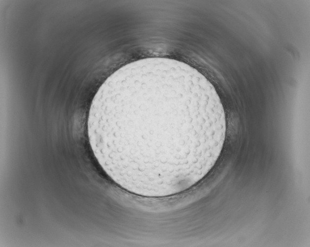 X0000111620030200908281122