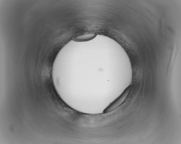 X0000111620033200908281122