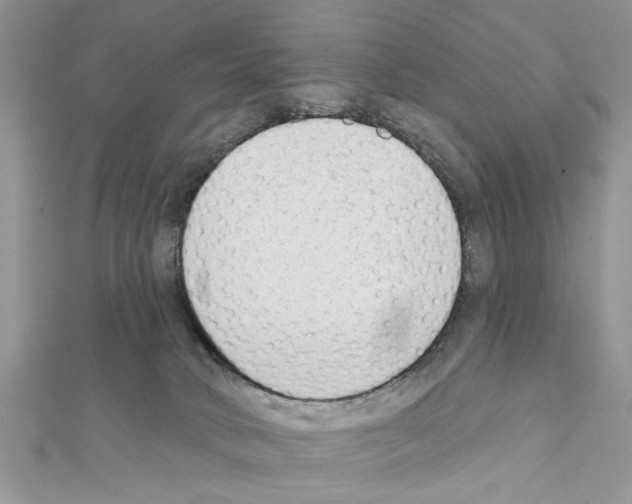 X0000111620034200908281122