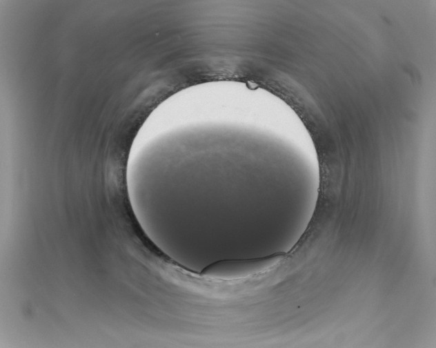 X0000111620035200908281122