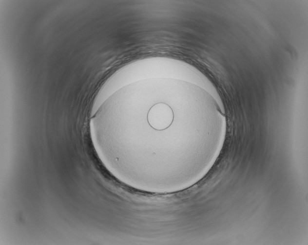 X0000111620036200908281122