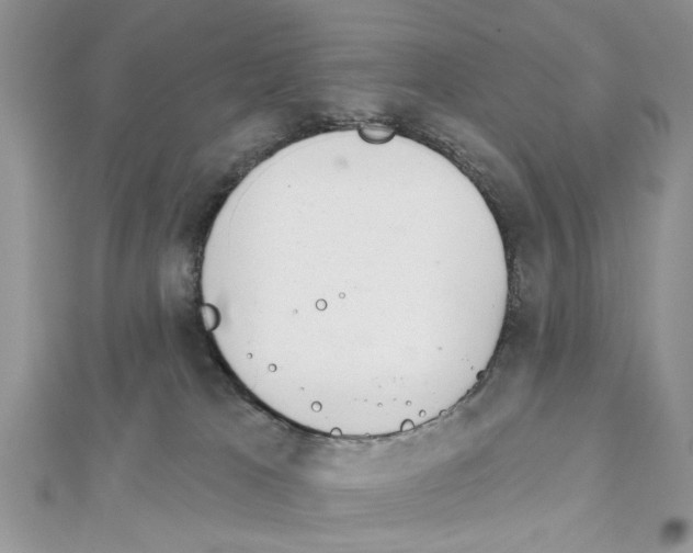 X0000111620037200908281122