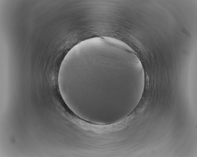 X0000111620039200908281122