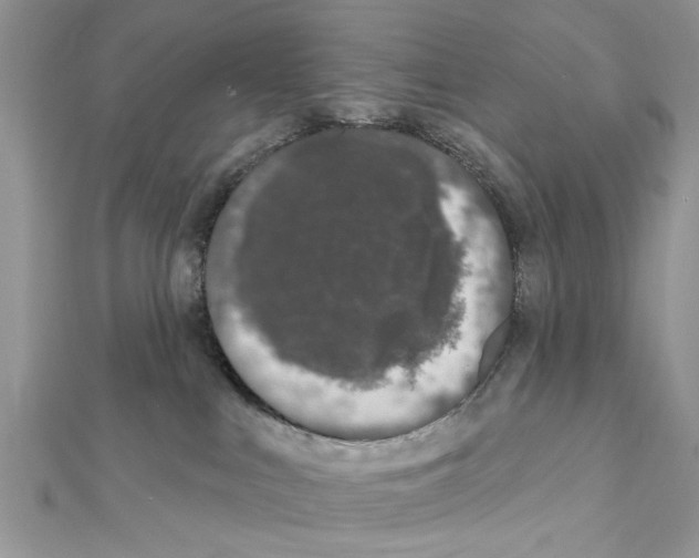 X0000111620043200908281122