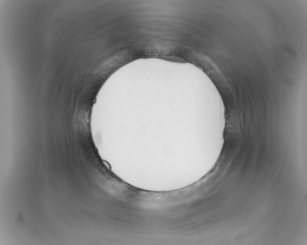 X0000111620045200908281122