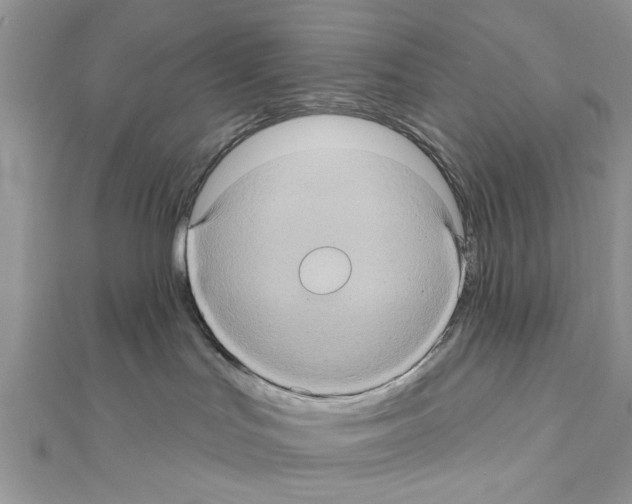 X0000111620047200908281122