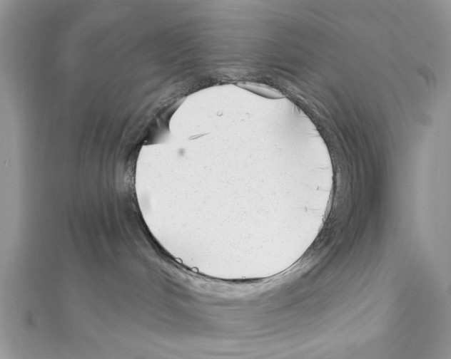 X0000111620048200908281122