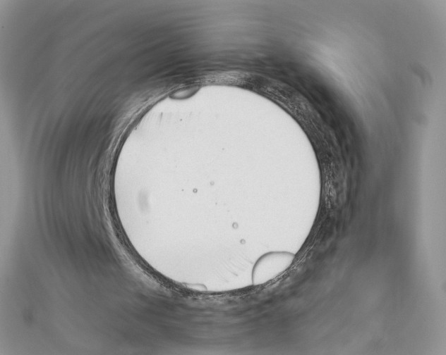 X0000111620049200908281121