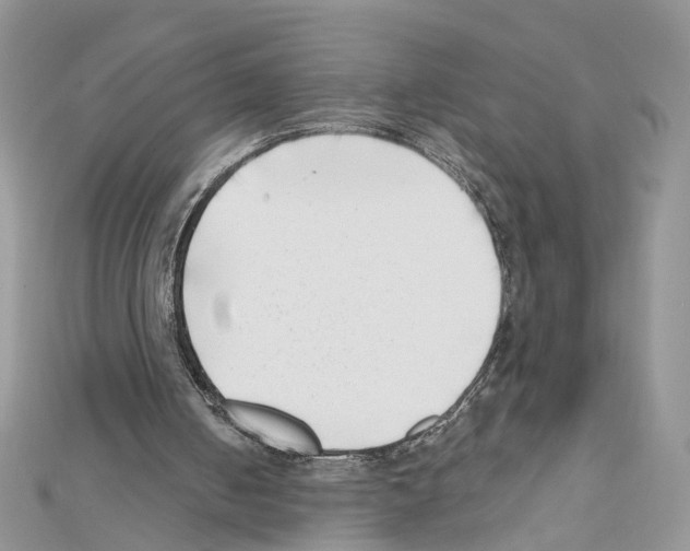 X0000111620050200908281121