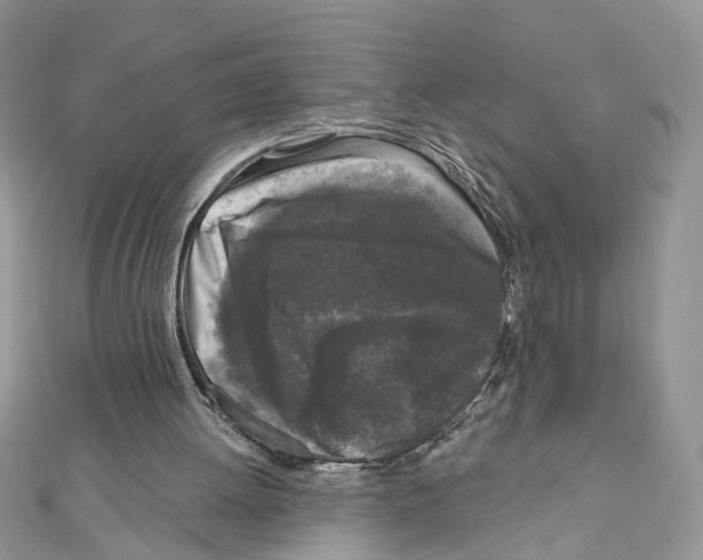 X0000111620052200908281121