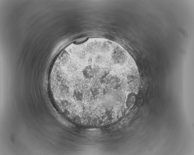 X0000111620053200908281121