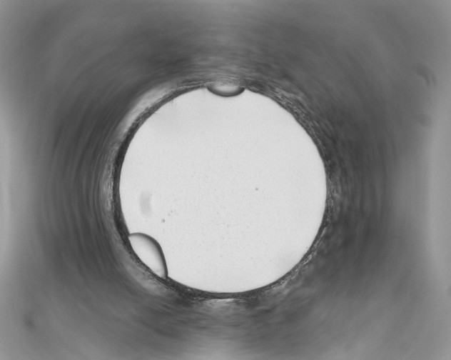 X0000111620054200908281121