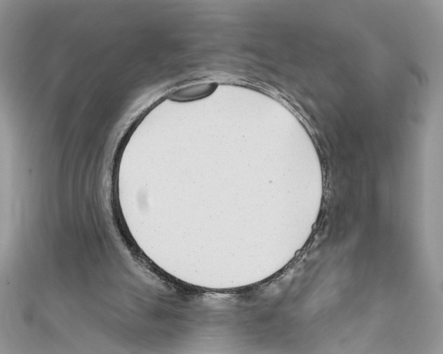 X0000111620055200908281121