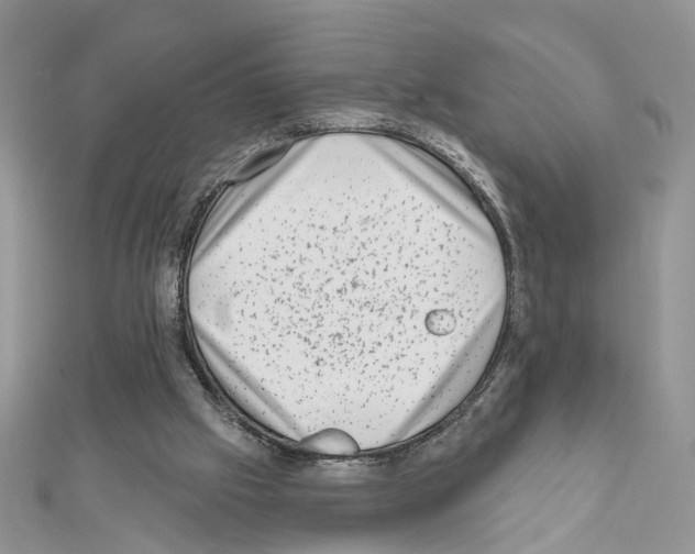 X0000111620057200908281121