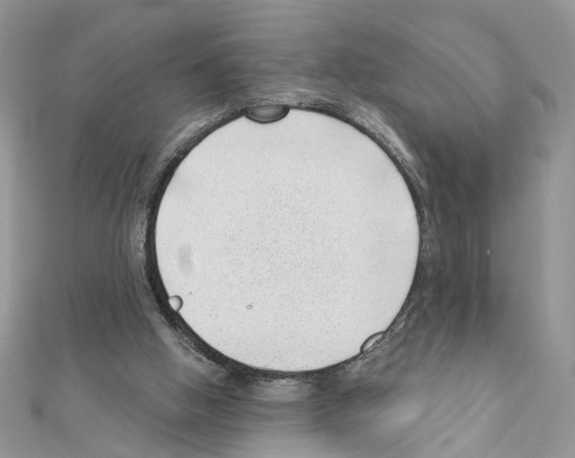 X0000111620058200908281121