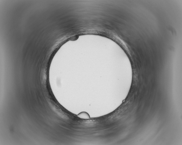 X0000111620059200908281121