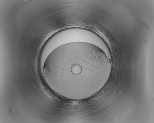 X0000111620060200908281122