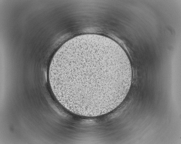 X0000111620061200908281122