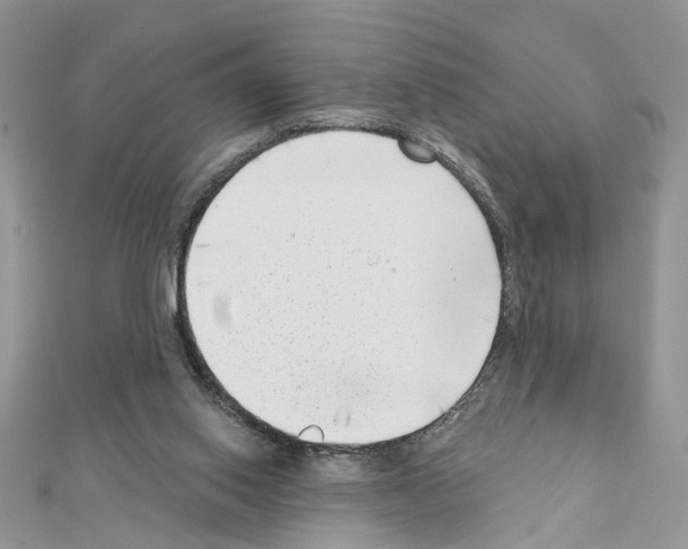 X0000111620062200908281122