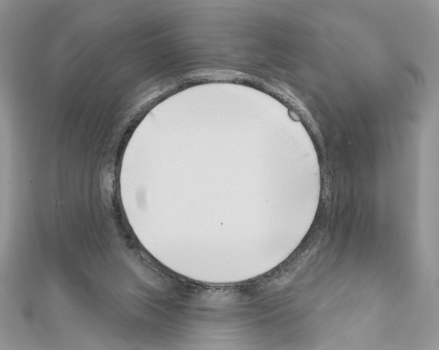 X0000111620063200908281122