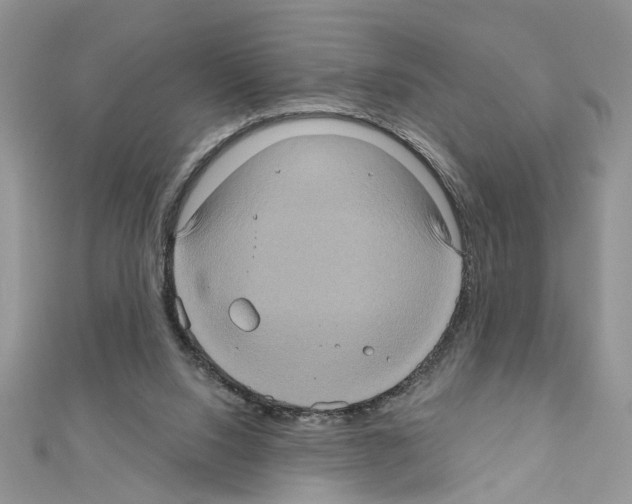 X0000111620064200908281122