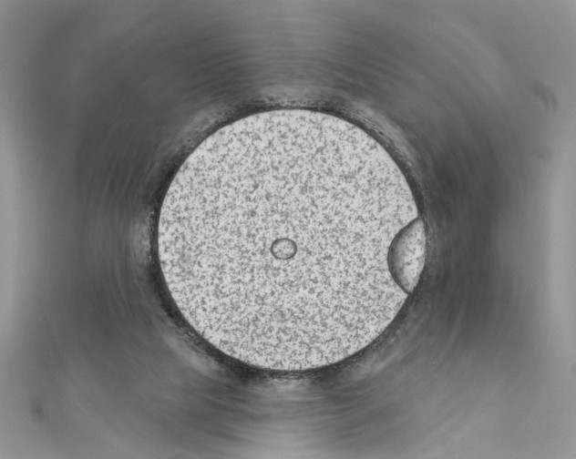 X0000111620065200908281122