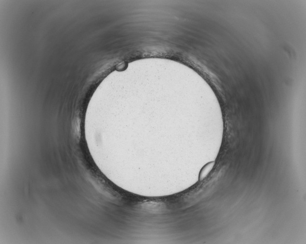 X0000111620067200908281122