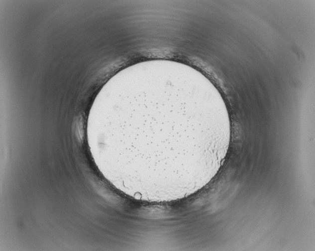 X0000111620069200908281122