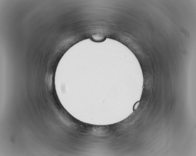 X0000111620070200908281122