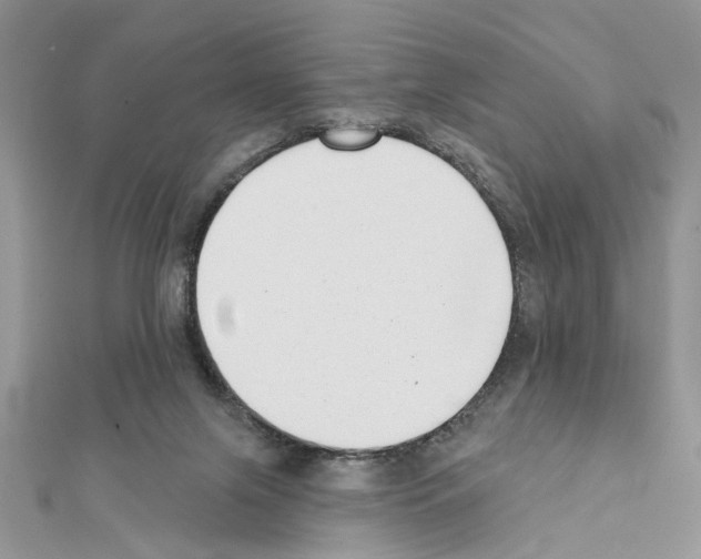 X0000111620071200908281122