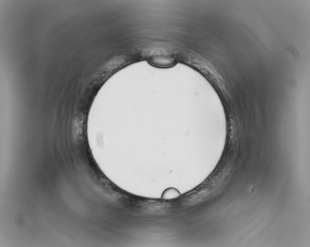 X0000111620073200908281122