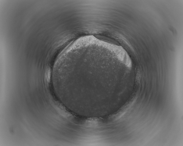 X0000111620076200908281122