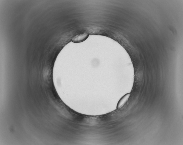 X0000111620079200908281122