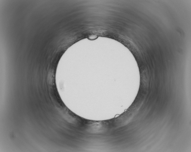 X0000111620083200908281122