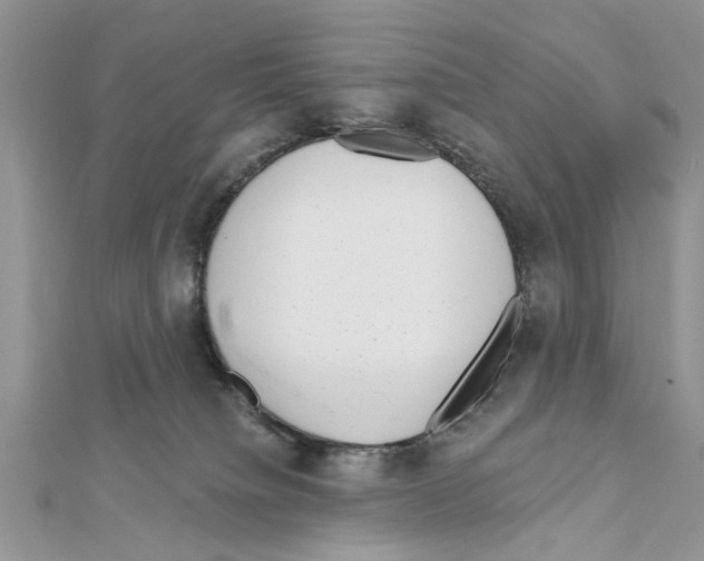 X0000111620084200908281122