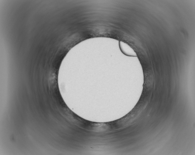 X0000111620087200908281122