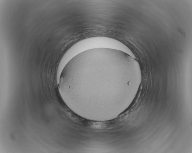 X0000111620088200908281122