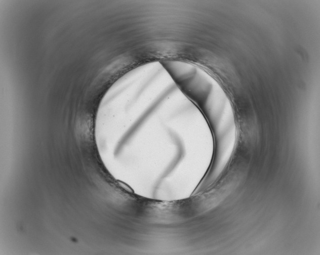 X0000111620092200908281122