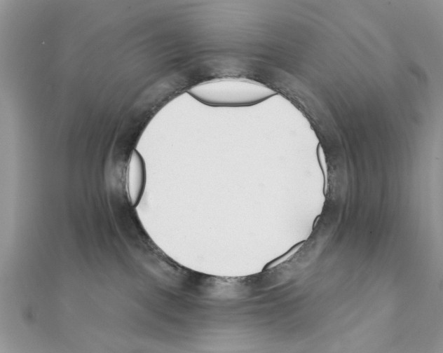 X0000111620093200908281122