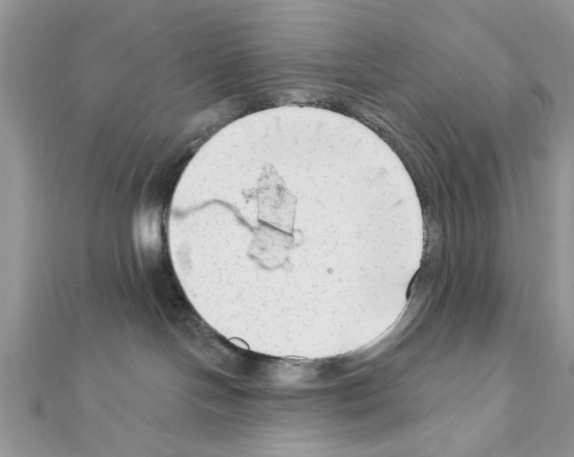 X0000111620094200908281122