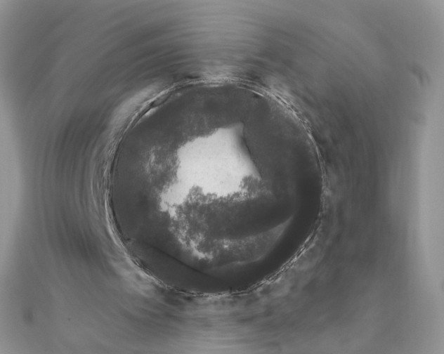 X0000111620097200908281121