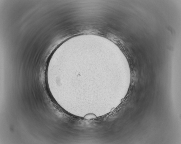 X0000111620098200908281121