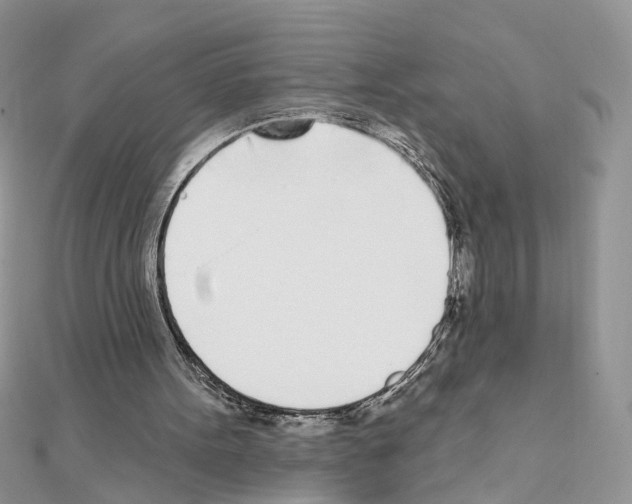 X0000111620099200908281121