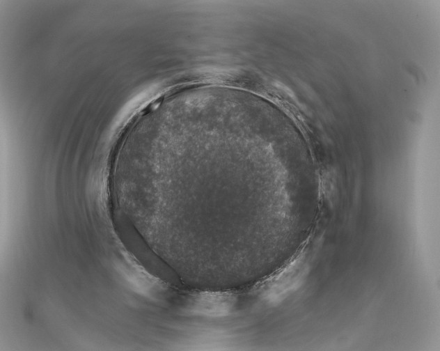 X0000111620101200908281121