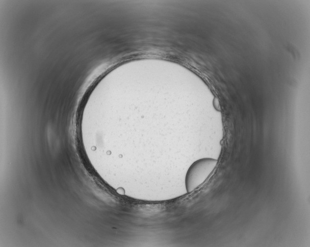 X0000111620102200908281121