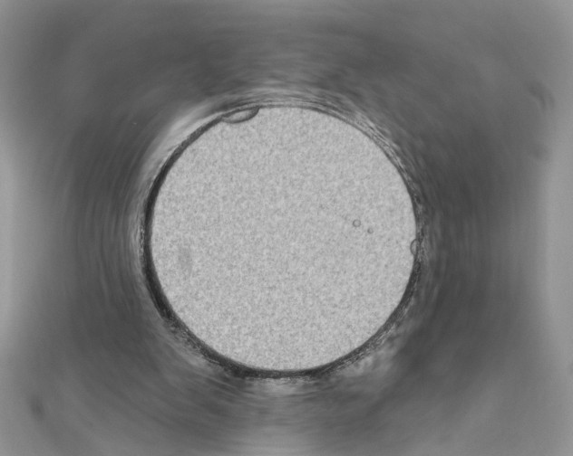 X0000111620103200908281121